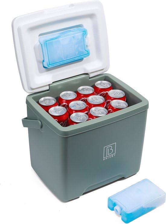 Brisby 13L Nevera Portátil - 18h Caliente - 40h frío - Incluye 4 Bloques refrigerantes 450ML - 31cm 22cm 31cm (A x L x A) - Ideal para Trabajo, Camping, Parrillas o Vacaciones