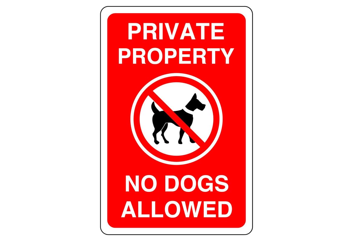 Safety First Display LTD Private property no dogs allowed - 1.2mm Rigid plastic for indoor/outdoor usage (400mm x 300mm) Viewing Distance within 14m.