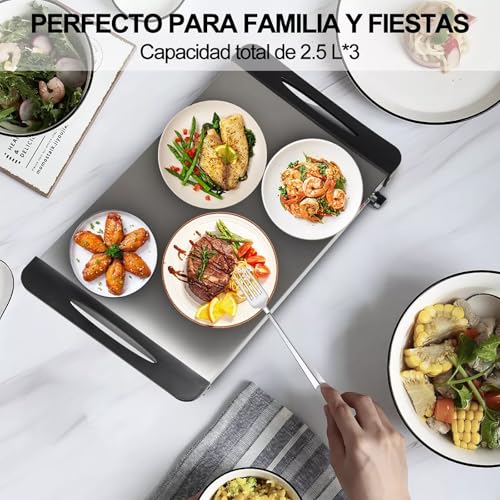 El Mejor Listado de Calentadores de comida . 26 Calentadores de comida marca ZUSZOX (2)