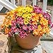 Daisy Artificial Flowers for Outdoors Decoration, 6 Bundles Fake Flowers Bouquet Silk Flowers for Outside Look Real UV Resistant Faux Flowers Plant for Planter Front Door Porch Patio Garden Home, Mix