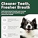 DRMOIS Dog Teeth Cleaning Powder for Dogs & Cats, Dental Powder for Plaque & Tartar Control, Fresh Breath Oral Care, No Brushing Needed, 150g