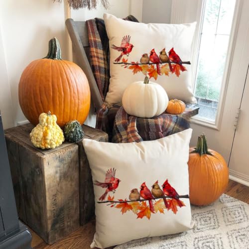 Image of Fall Pillow Covers 18x18 Inch Cardinal Birds Home Decor | Cardinal Birds Maple Leaves, Decorative Autumn Thanksgiving Harvest, Lumbar Cushion Case, For Home Sofa Couch
