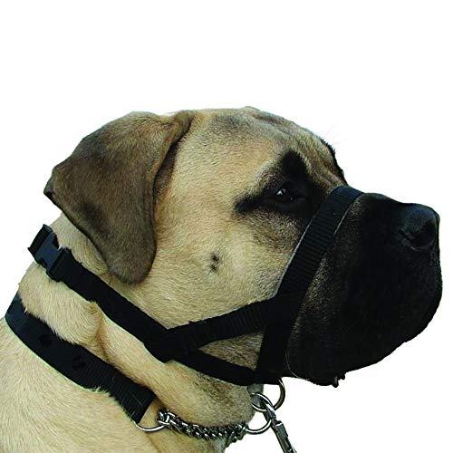 kumfi calmer dog lead