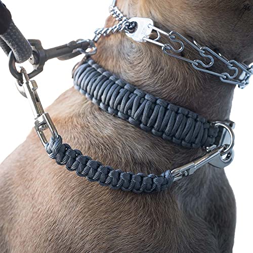 Are Pinch Collars Safe For Dogs