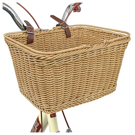 51Tp7XHS1ML._SS520_ Best retro bike basket