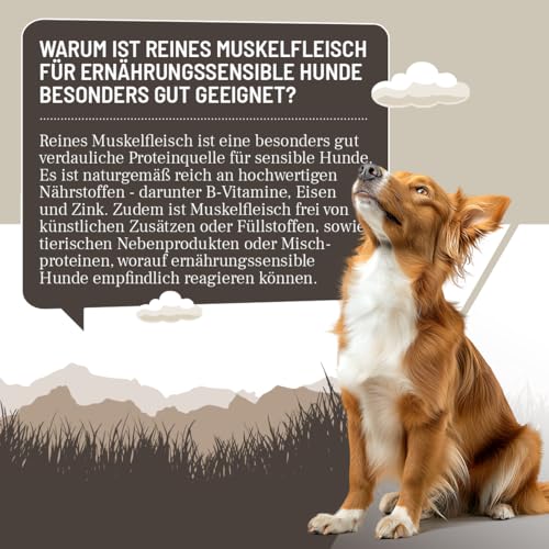 ReaVET Premium Hunde Nassfutter - Pferd Pur 12 x 400g I Reines Muskelfleisch, Hypoallergen, ohne Getreide & Zusätze, Hundenassfutter sensitiv für Allergiker