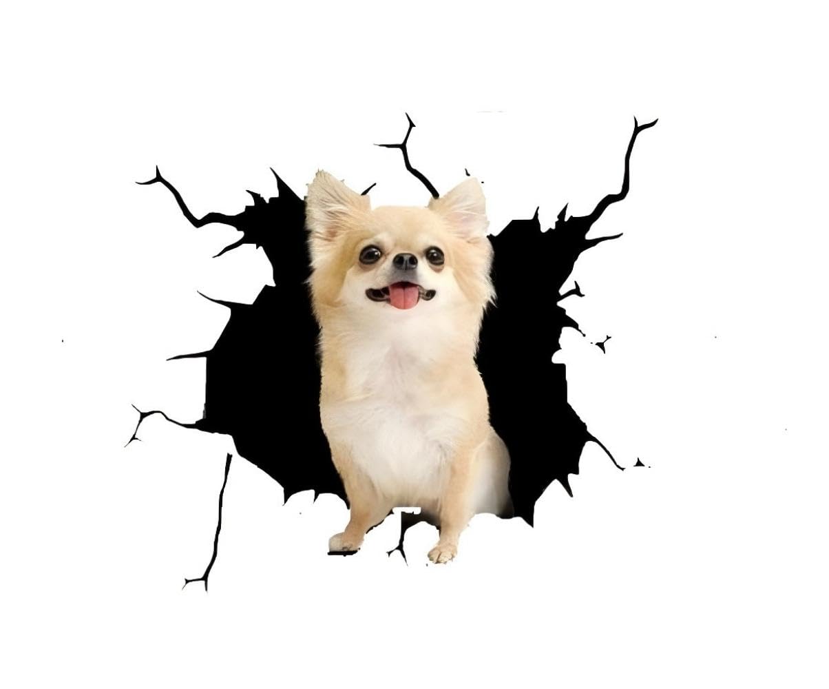 Chihuahua Autoaufkleber, Gelber Chihuahua 3D Durchbruch-Design, Wasserfester Vinyl-Aufkleber für Auto, Laptop, Kühlschrank, Stoßstange (22cm/8.7 Inch)