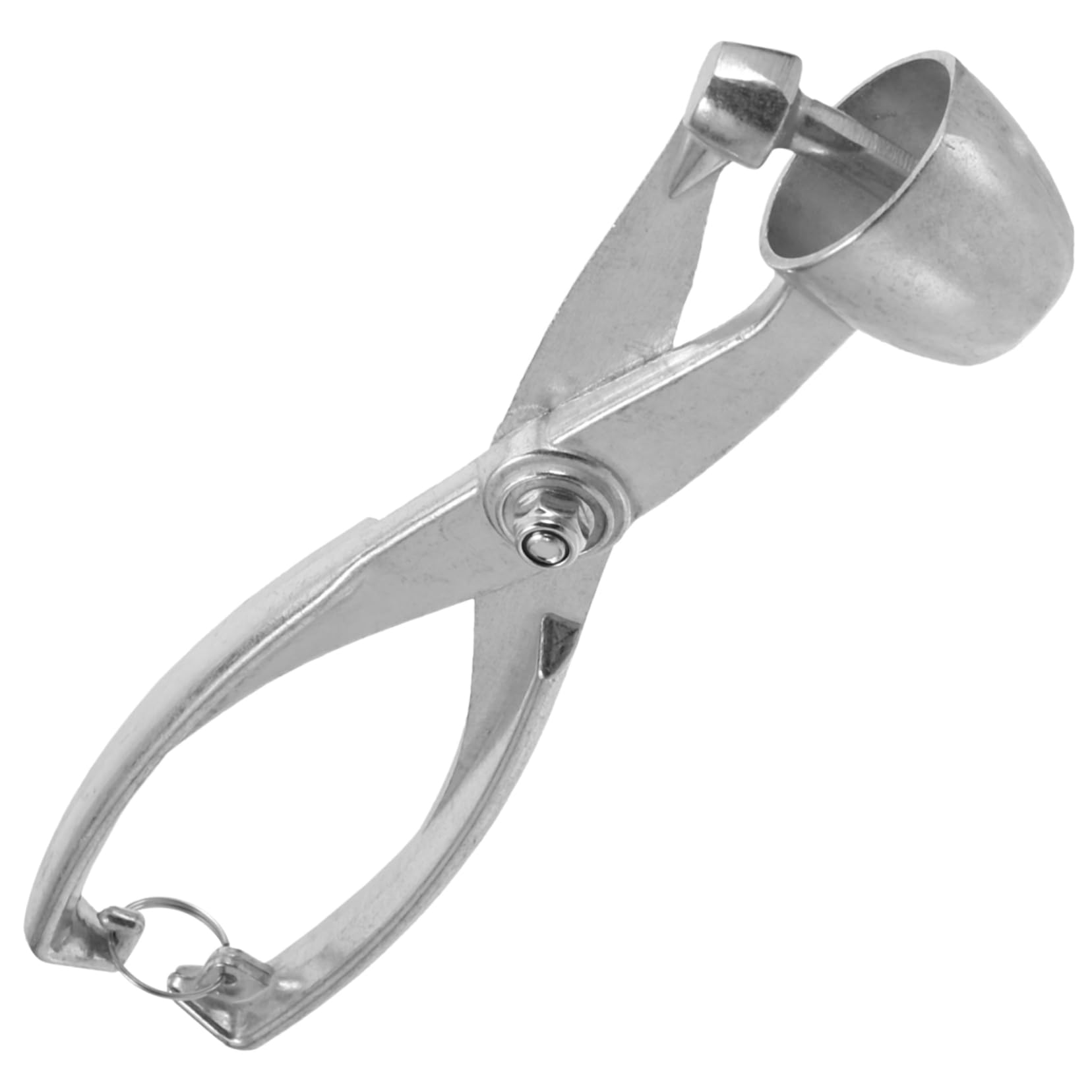 BRIGHTFUFU Professional Cherry Pitter Cherry Pit Remover Metal Pitter Compact Cores Remover