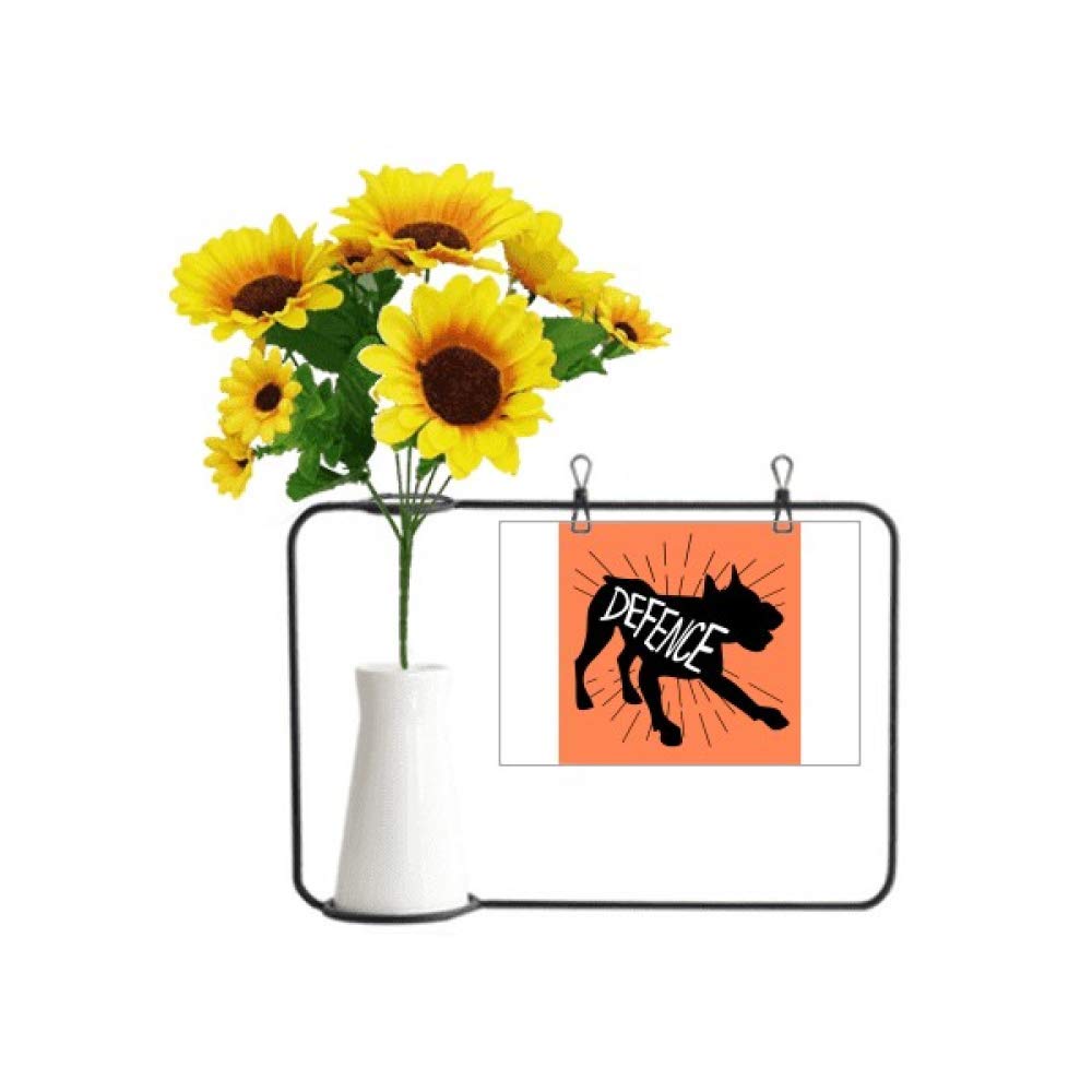Carte bénédiction âne noir tournesol naturel cadeau souvenir floral