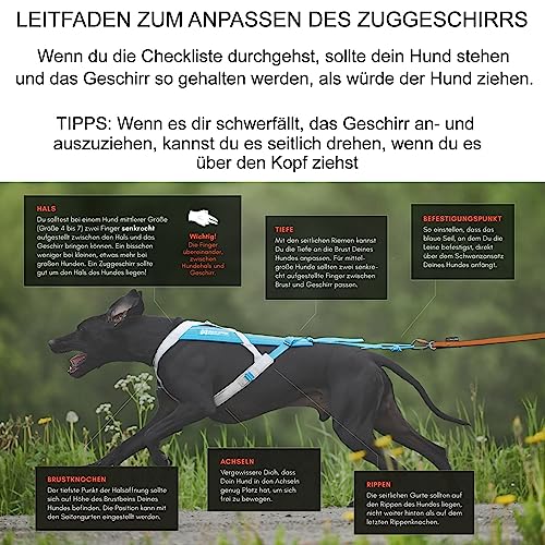 Non-stop dogwear FREEMOTION Harness 5.0 |111| Hundegeschirr für alle Sportarten, Größe:4
