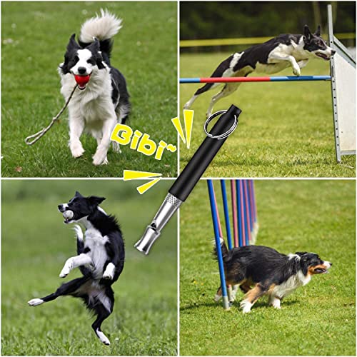 2 Pack Professional Dog Whistle, Normalized Frequency Dog Whistle, Safe and Effective Leash - Image 4