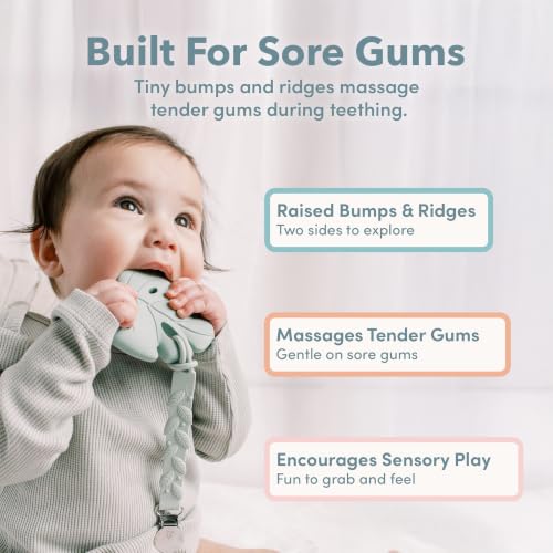 Image of Loulou Lollipop Silicone Teether for Babies 4 Months and Up, Textured Teething Toy for Sore Gums, BPA-Free Food-Grade Silicone, Easy to Hold, Dishwasher & Freezer Safe, Pretzel Dog