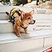 EzyDog Schwimmweste Hund - DFD Hundeschwimmweste - Schwimmwesten für für Kleine, Mittelgroße und Große Hunde - Rettungsweste mit Griff und Reflektoren, Größenverstellbar (XL, Rot)
