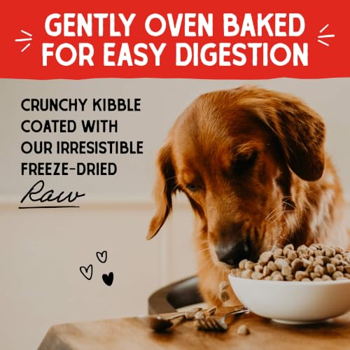 Stella & Chewy's Baked Kibble, Raw Coated Grass-Fed Lamb, 22 lb - image 5