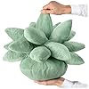 HAUS OF NU Succulent Pillow – 18in...