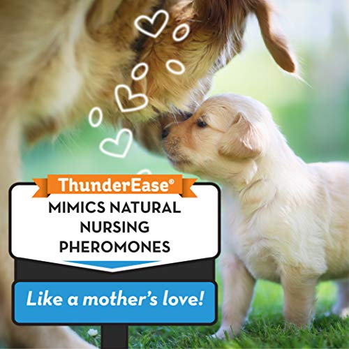 thunderease calming collar