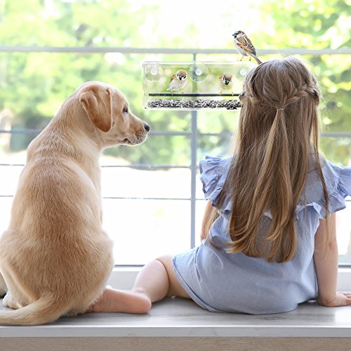Window Bird Feeder - Transparent Acrylic Design - Wild Bird Feeder - Strong Suction Cups for Easy Outside Installation - Squirrel proof Bird Feeder for Kitchen or Living room Window
