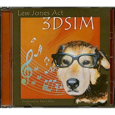 3DSIM