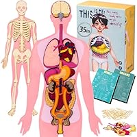 NUHICO This is Me! Human Body Model for Kids – Extra Large Felt Anatomy Set with 30 Detachable Organs & Bones – Montessori Organ Match for Homeschool Anatomy, Classroom Science & Educational Gift