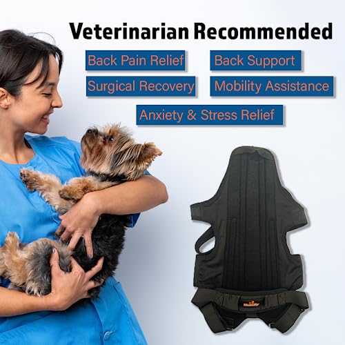 Image of NeoAlly Dog Back Brace for Dogs Arthritis, IVDD, Spinal Surgical Recovery, and Back Disease Prevention (Large)