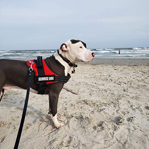 Fayogoo Dog Vest Harness For Service Dogs, Comfortable Padded Dog Training Vest With Reflective Patches And Handle For Large Medium Small Dogs #TOP6