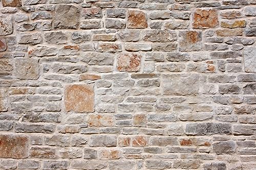 AOFOTO 10x8ft Stone Wall Backdrop Medieval Vineyard Gray Rock Wall Photography