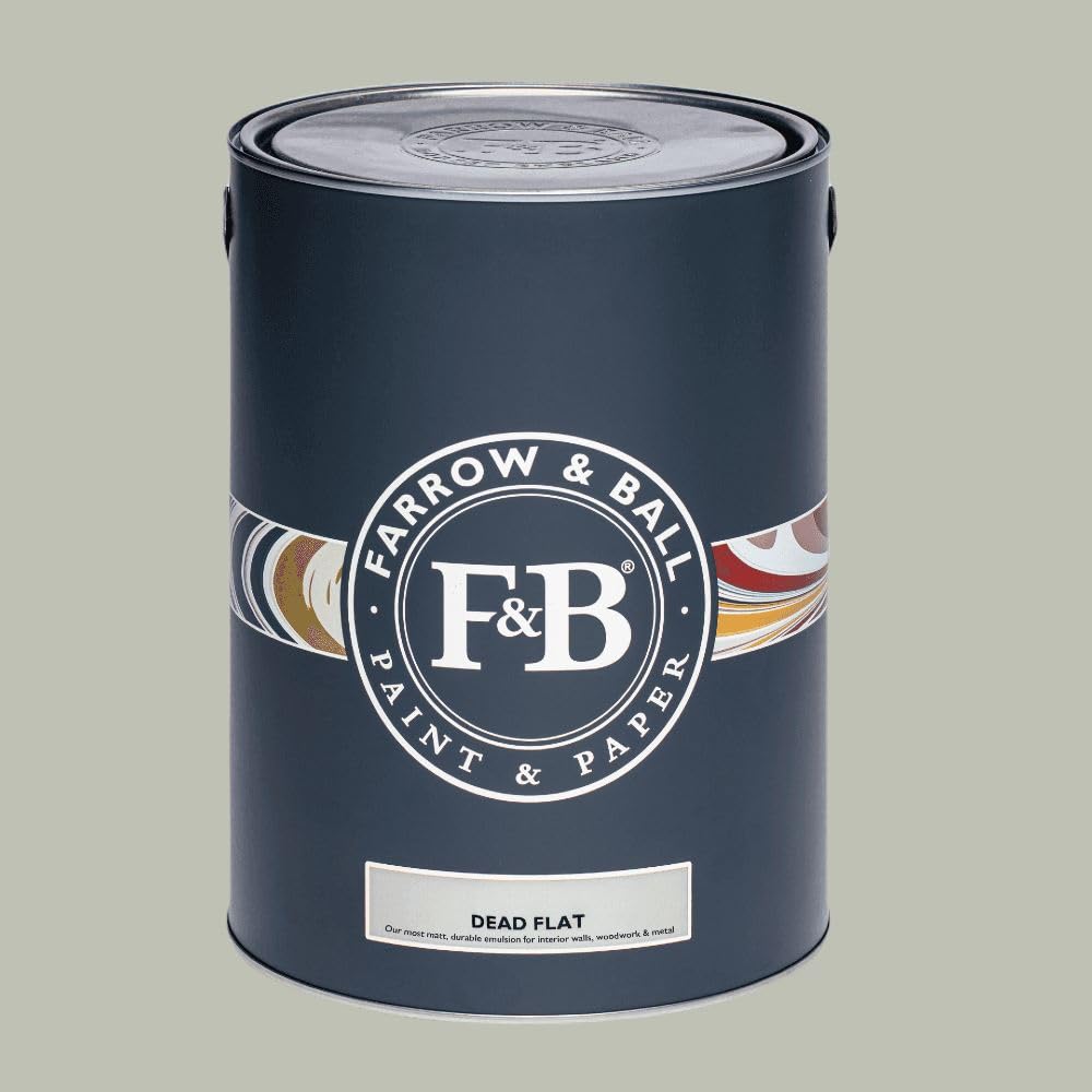 Paint Stop Mixed Colour Farrow & Ball Dead Flat 266 Mizzle 5L