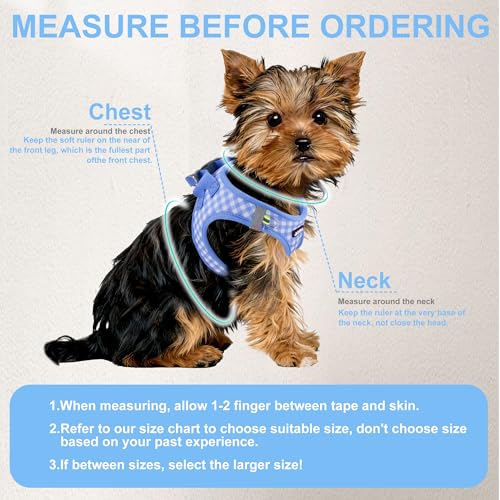 AIITLE Atmungsaktives Hundegeschirr aus Netzstoff, No-Pull-Westengeschirre mit reflektierenden Bändern, verstellbare Haustier-Outdoor-Geschirre für kleine und mittelgroße Hunde, Blau, M