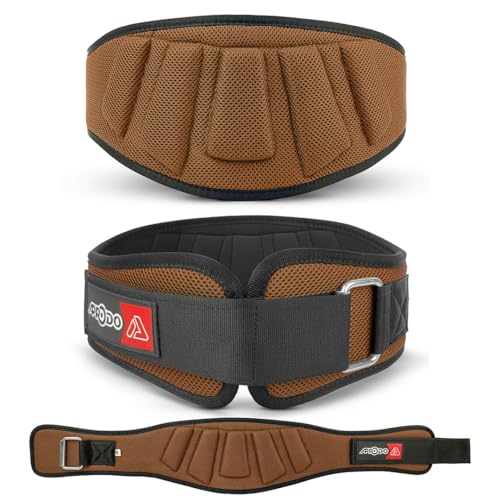 APRODO Power Guidance Nylon Weightlifting Belt Lumbar Waist Support Trainer Protector Belts for Weight Lifting Fitness Sport Gym (Brown, Medium)