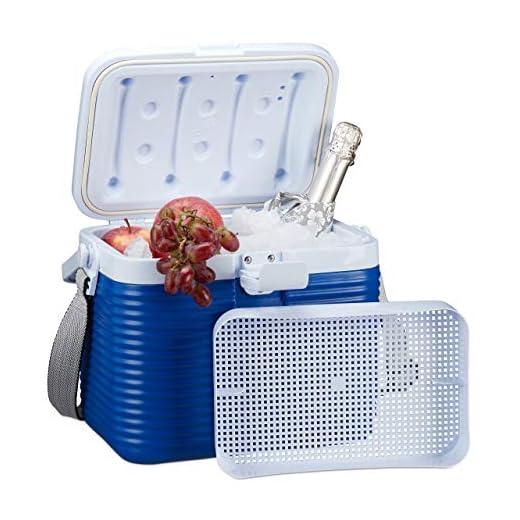Relaxdays Nevera Portátil Pequeña con Asa y Correa, Plástico, Azul y Blanco, 8 L, 23,5 x 31 x 21 cm