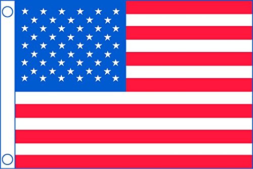 Taylor Made Flag, US, 50 Star, 60