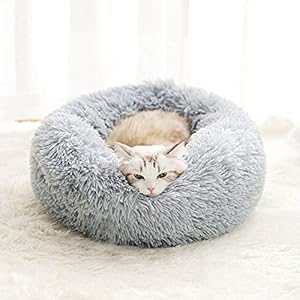 BODISEINT Modern Soft Plush Round Pet Bed for Cats or Small Dogs, Mini Medium Sized Dog Cat Bed Self Warming Autumn Winter Indoor Snooze Sleeping Cozy Kitty Teddy Kennel (24'' D x 8'' H, Light Grey) BODISEINT Modern Soft Plush Round Pet Bed for Cats or Small Dogs Mini Medium Sized Dog Cat Bed Self Warming Autumn Winter Indoor Snooze Sleeping Cozy Kitty Teddy Kennel 24 D x 8 H Light Grey