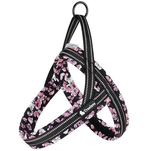 Wanwan Square Garden  n[lX ^ ^ p n[lX  Truelove uh ₷ lIv \tgpbh ȒP K X|[cn[lX nbs[p^[iubN-XSj