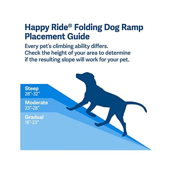 How Steep Can A Dog Ramp Be