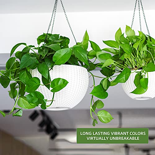 Dexceder 13.5 Inch Large Self Watering Hanging Planters Indoor Outdoor, Thickened Hanging Basket Flower Plant Pot With Water Level Indicator (White) #TOP5