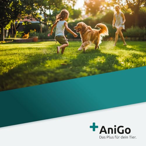 Foto von AniGo Wurmkraut PET Kapseln 50 Stück – für Hunde, mit echtem Wurmkraut (Artemisia Absinthium) in rezepturbasierter Pflanzenformel, geeignet für Hunde Aller Rassen