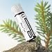 Rhus Toxicodendron 200C Homeopathic Remedy, Urenus
