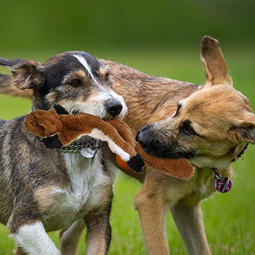 PDTO Hundespielzeug ohne Füllung, Quietschspielzeug für Hunde für kleine und mittelgroße Hunde (3 Packungen - 46 cm)