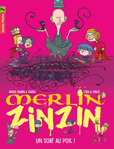 Merlin Zinzin, Tome 7 : Un sort au poil !