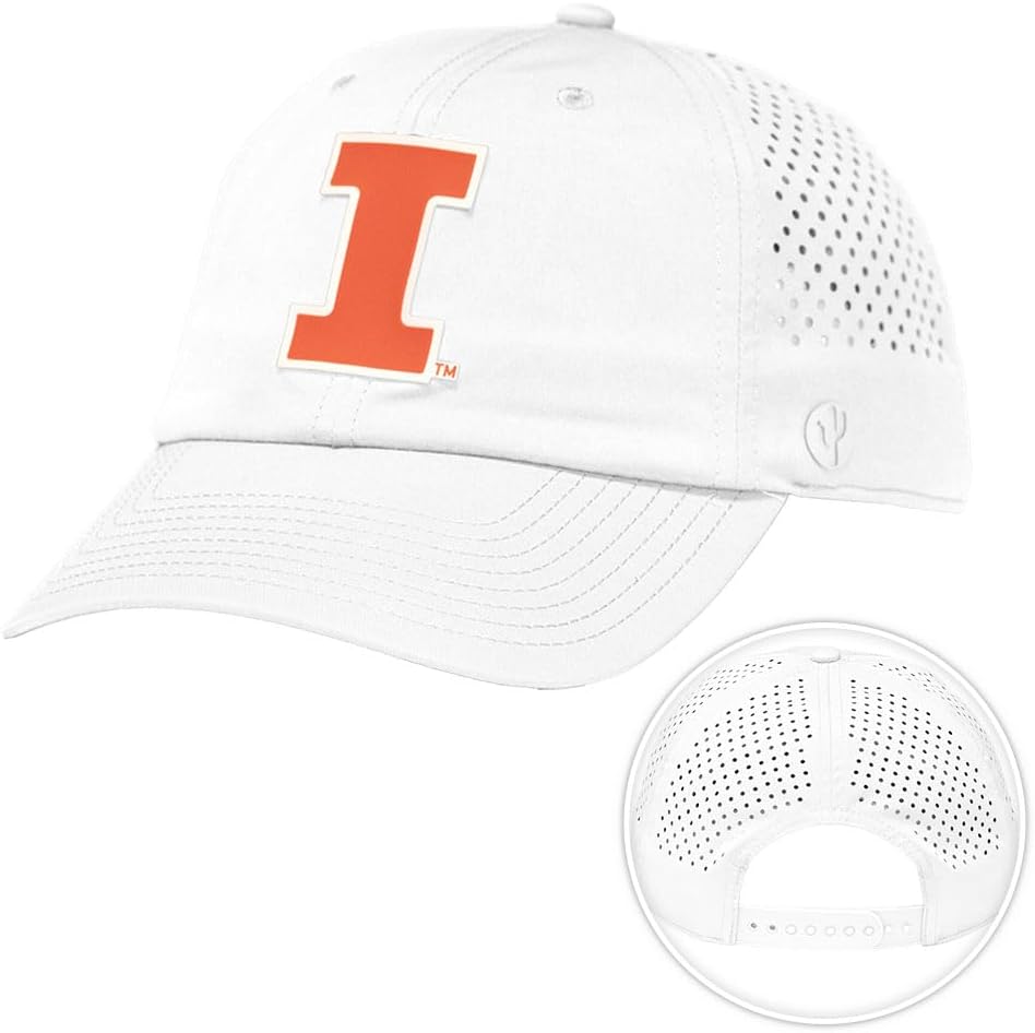 Desert Cactus Illinois Snapback Hat – BreezePro Performance Cap with Adjustable Strap Designed for Fighting Illini Fans (BP3)