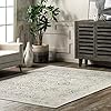 nuLOOM Odell Faded Vintage Area Rug, 5' x 7' 5", Ivory