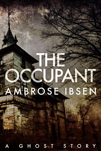 The Occupant (The Afterlife Investigations Book 3)