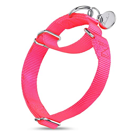 Dazzber Martingale Heavy Duty Nylon Dog Collar, No Pull, Adjustable Collars for Large