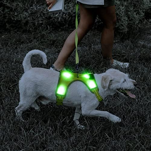 YFbrite Light up Dog Harness- USB Rechargeable LED Dog Harness, Reflective Dog Harness, Dog Lights for Harness, Comfortable Adjustable Dog Harness, Breathable Flashing Dog Hanress (Blue, Small)