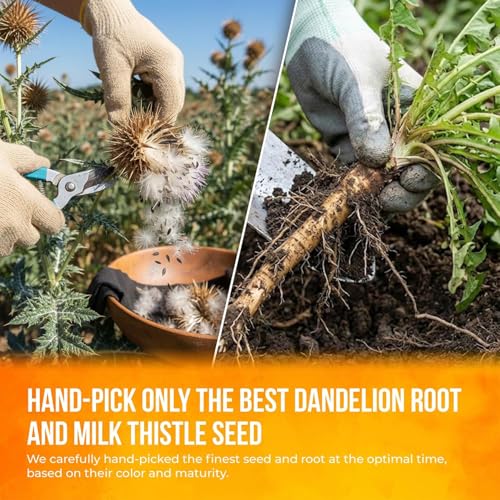 Image of FreshDrinkUS, Premium Dandelion Milk Thistle Herbal Tea | 75 Tea Bags | Herbal Blend with Dandelion Root & Milk Thistle Seed - Clean Plant-Based Daily Tea, Naturally Caffeine Free. Sugar Free. Vegan