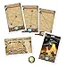 Asmodee Ticket to Ride France + Old West Board Game Expansion - Train Route Strategy Game, Fun Family Game for Kids & Adults, Ages 8+, 2-6 Players, 30-60 Minute Playtime