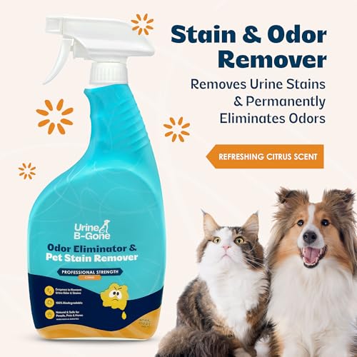 Image of Urine B-Gone Enzyme Cleaner for Human, Cat & Dog Urine, Citrus, 32 oz