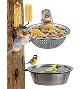 Red Ceramic Birdbath Bowl | Ten Thousand Pots