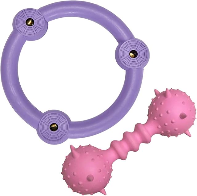 Amazon Brand - Umi Pack of 2 Gift Toys for Puppies & Dogs, Rubber Ring and Spiky Stick Dental Chew Dog Toy Value Pack