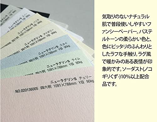 Amazon | ニューラグリンS 90kg シルバー B4 8枚 | 印刷用カラー